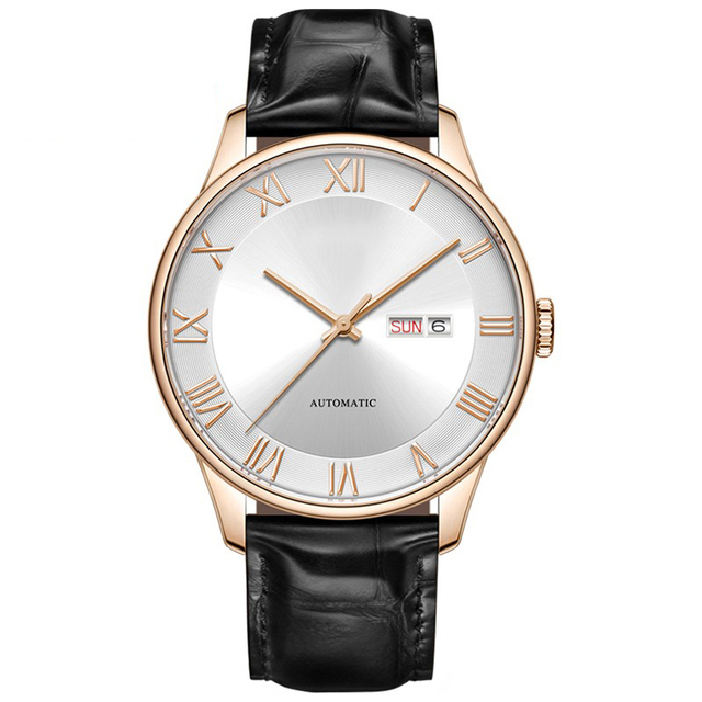 professional watch brands