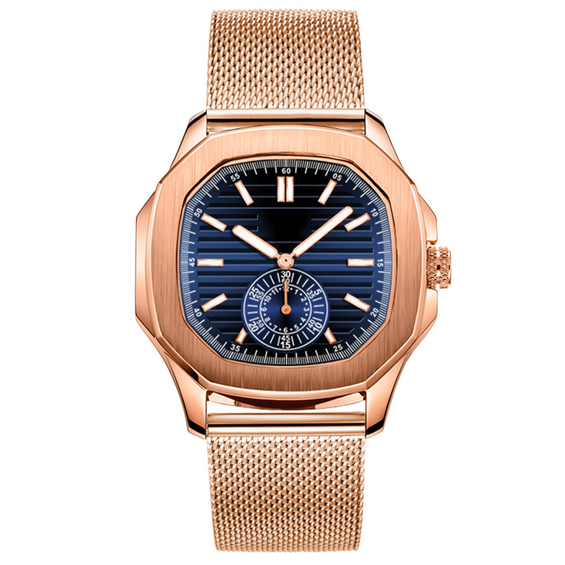 watch case and dial
